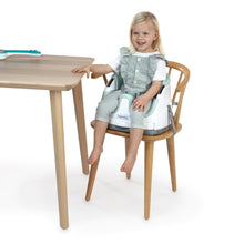 Load image into Gallery viewer, Ingenuity Baby Base 2 in 1 Seat - Mist