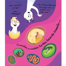 Load image into Gallery viewer, WHERE do BABIES COME FROM? Book