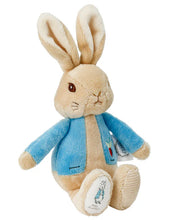 Load image into Gallery viewer, Peter Rabbit & Flopsy Bunny Silky Bean Rattles 19cm