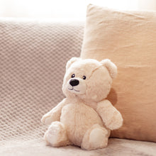 Load image into Gallery viewer, Toasty Hugs Bobby Bear