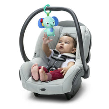 Load image into Gallery viewer, Bright Starts Wild Wiggles Activity Gym