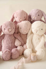Load image into Gallery viewer, Snuggle Bunnies - Penelope - Blossom 30cm