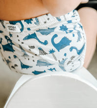 Load image into Gallery viewer, Snazzipants Organic Cotton Daytime Training Pants - Dino Dash