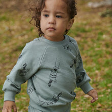 Load image into Gallery viewer, Nature Baby Emerson Sweater - Raccoon Rhapsody