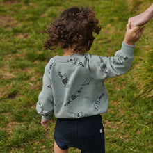 Load image into Gallery viewer, Nature Baby Emerson Sweater - Raccoon Rhapsody