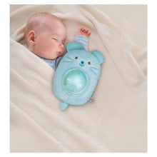 Load image into Gallery viewer, Hape My Music Pal - Huggy Momo