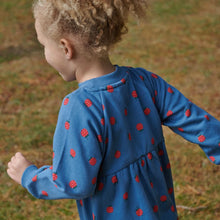Load image into Gallery viewer, Nature Baby Ines Dress - Raspberry Blue