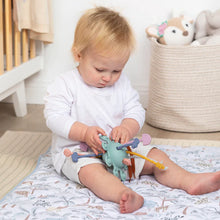 Load image into Gallery viewer, Playground Zippy Pull String Interactive Toy - Multi