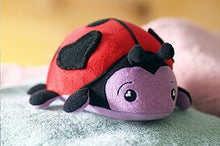 Load image into Gallery viewer, Soapsox Bella Ladybug