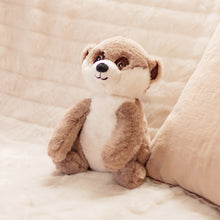 Load image into Gallery viewer, Toasty Hugs Milo Meerkat
