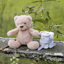 Load image into Gallery viewer, The Little Linen Company Plush Toy & Washers - Nectar Bear