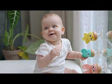 Load and play video in Gallery viewer, Hape Cheery Rattle Trio