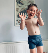 Load image into Gallery viewer, Snazzipants Organic Night Training Pants - Skater