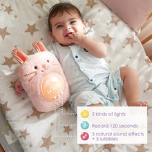 Load image into Gallery viewer, Hape My Music Pal - Huggy Momo