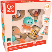 Load image into Gallery viewer, Hape Multi-Stage Sensory Music Gift Set