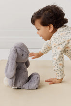 Load image into Gallery viewer, Snuggle Bunnies - Penelope - Silver 30cm