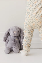 Load image into Gallery viewer, Snuggle Bunnies - Penelope - Silver 30cm