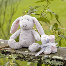 Load image into Gallery viewer, The Little Linen Company Plush Toy & Washers - Harvest Bunny