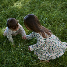 Load image into Gallery viewer, Nature Baby Long Sleeve Twirl Dress - Grande Briarwood