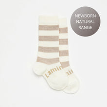 Load image into Gallery viewer, Lamington Merino Knee High Socks - Dandelion