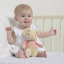 Load image into Gallery viewer, Peter Rabbit My First Flopsy Bunny - 26cm