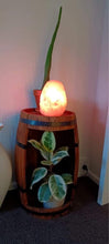 Load image into Gallery viewer, Himalayan Salt Lamp with Dimmer Switch - Perfect Night Light For Nursery