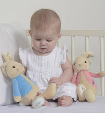 Load image into Gallery viewer, Peter Rabbit My First Peter Rabbit Bunny - 26cm