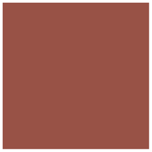 Load image into Gallery viewer, Classical Child Jelly Sandals - Rust