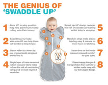Load image into Gallery viewer, Love to Dream Swaddle Up Original (1.0 Tog) Grey