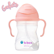 Load image into Gallery viewer, B.Box Sippy Cup - Gelato Range - Tutti Fruiti