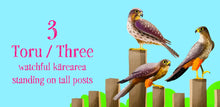 Load image into Gallery viewer, One to Ten with Aotearoa Birds Board Book
