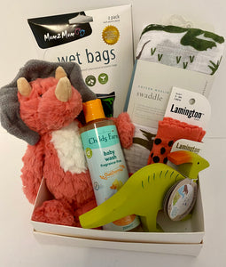 Dino Baby Care Package