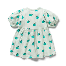 Load image into Gallery viewer, Wilson &amp; Frenchy Organic Crinkle Button Dress - Apple Papple
