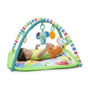 Bright Starts Wild Wiggles Activity Gym