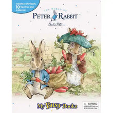 Load image into Gallery viewer, Peter Rabbit My Busy Books Activity Kit
