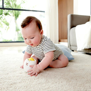 Hape Roll 'n Hatch