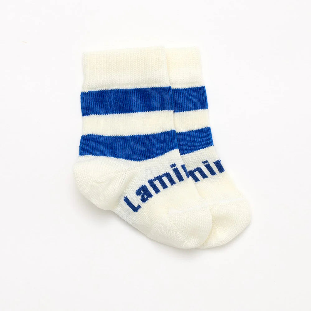 Lamington Merino Crew Length Socks - Holland