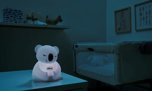 Chicco Sweet Light Fluffy the Koala Rechargeable Night Light (USB)
