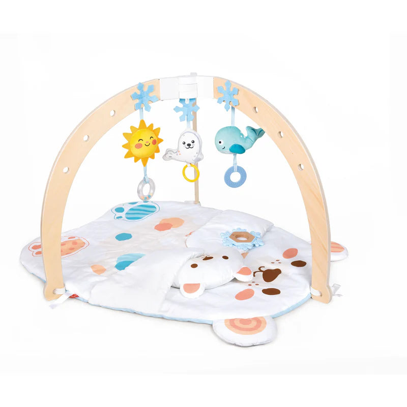 Hape Snuggle Bear Activity Gym