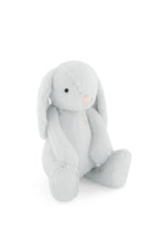 Load image into Gallery viewer, Snuggle Bunnies - Penelope - Moonbeam 30cm
