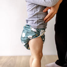 Load image into Gallery viewer, Bear &amp; Moo Reusable OSFM Cloth Nappy - Paddock Grazing
