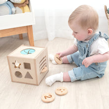 Load image into Gallery viewer, Playground 4 in 1 Sensory Learning Cube
