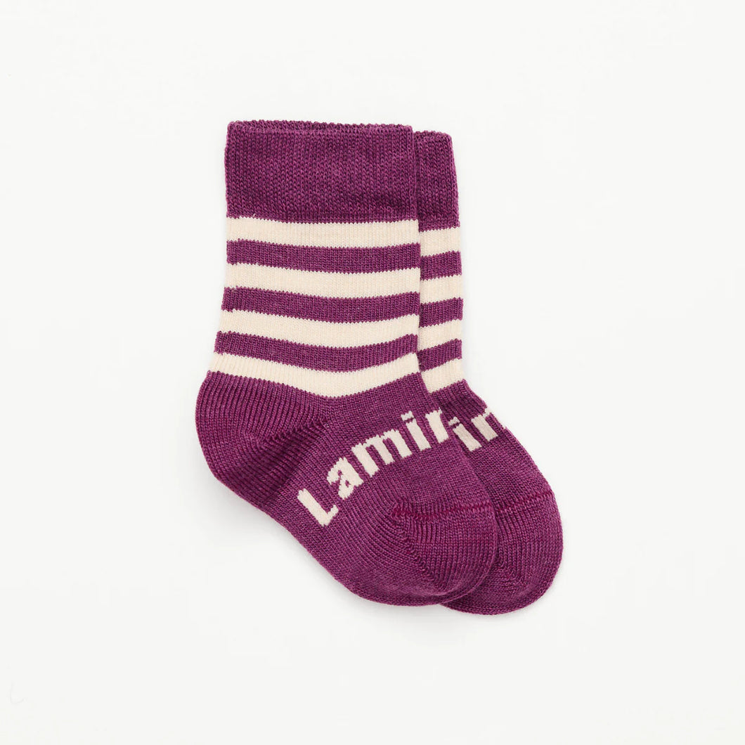 Lamington Merino Crew Length Socks - Plum