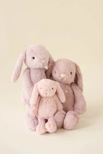 Load image into Gallery viewer, Snuggle Bunnies - Penelope - Powder Pink 30cm
