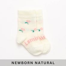 Load image into Gallery viewer, Lamington Merino Crew Length Socks - Rosa
