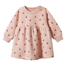 Load image into Gallery viewer, Nature Baby Ines Dress - Petite Pear Rose Dust
