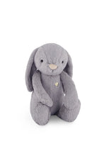 Load image into Gallery viewer, Snuggle Bunnies - Penelope - Silver 30cm

