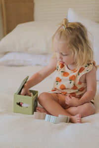 Over the Dandelions Silicone Sorting Box with Animals