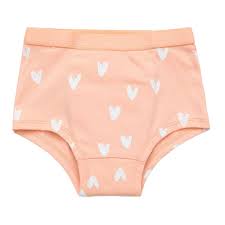 Snazzipants Organic Night Training Pants - Sweet Hearts
