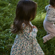 Load image into Gallery viewer, Nature Baby Long Sleeve Twirl Dress - Grande Briarwood
